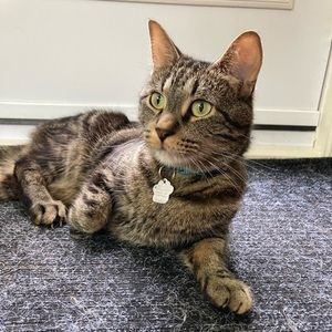 Meet your Posher, Jenna